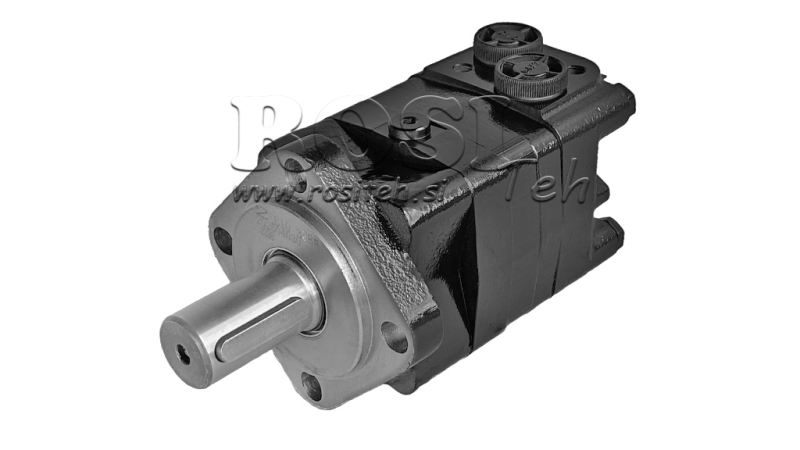 HIDROMOTOR MS 315 ECO (ALSG3-315)