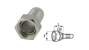 BSP-ZENSKÁ-SPOJENÍ