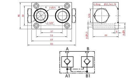 DOUBLE NON-RETURN FOR YEAT-COMBINE VALVE (AinB)